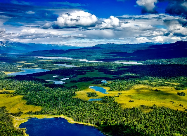 denali national park, alaska, aerial view