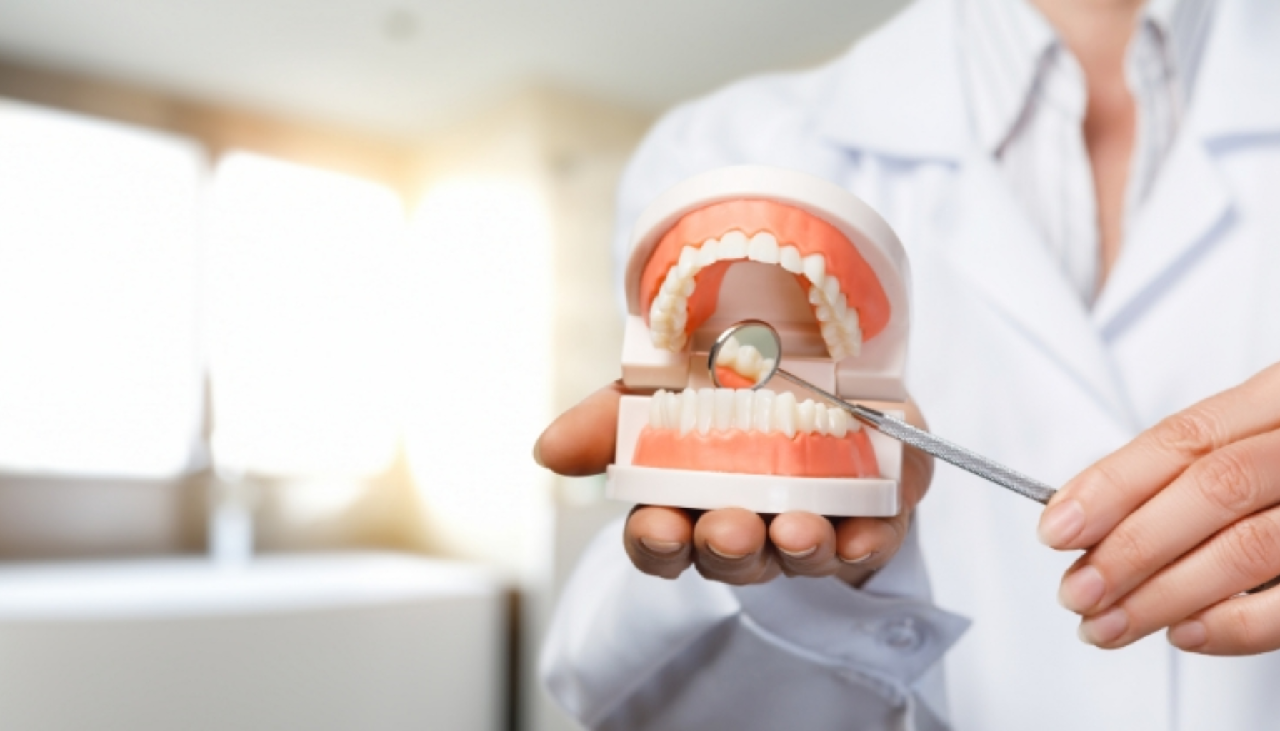Tannlege holder en tannmodell og peker med speil på tennene, illustrerer tannhelse eller opplæring i munnhygiene i klinisk miljø.