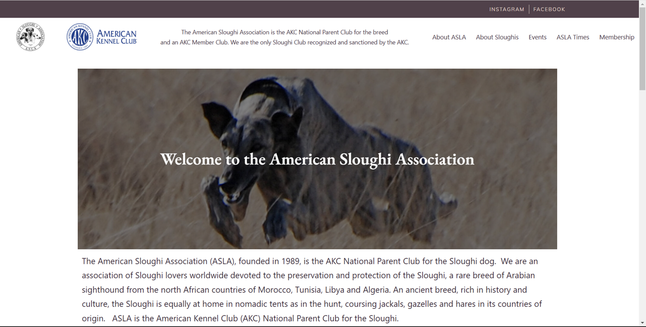 A website image of the American Sloughi Association