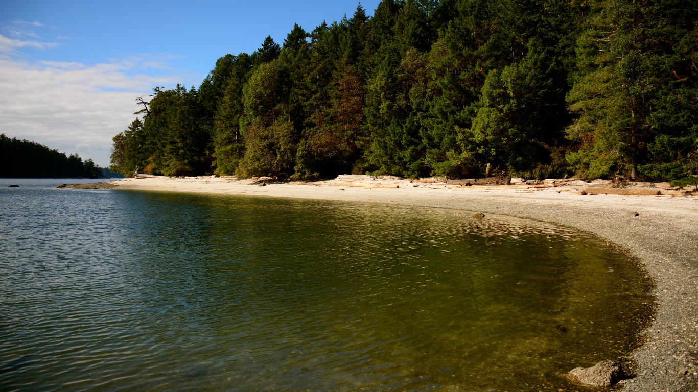 Beach, Galiano Island, BC - Rachael Griffin https://www.canva.com/photos/MADEkpV1hEg/