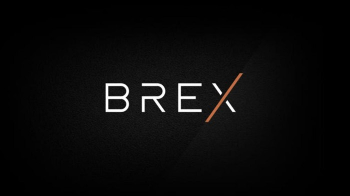 Brex's core business is offering corporate credit cards to technology companies and startups.