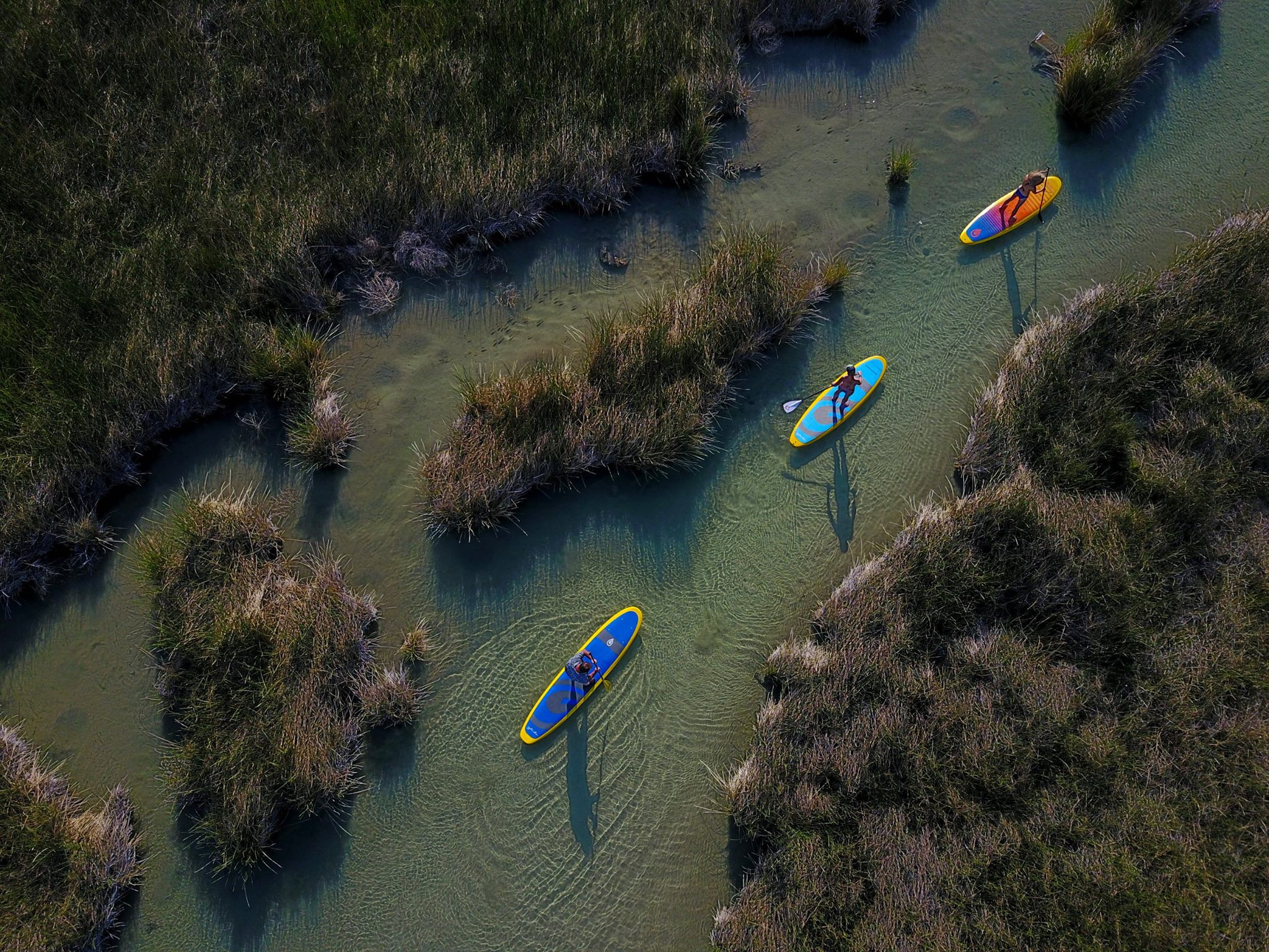 paddle boards