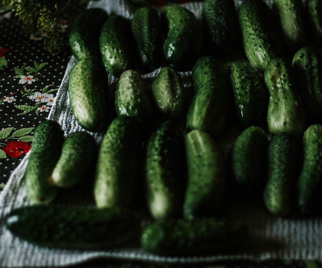 Cucumbers FAQs: Everything You Need To Know