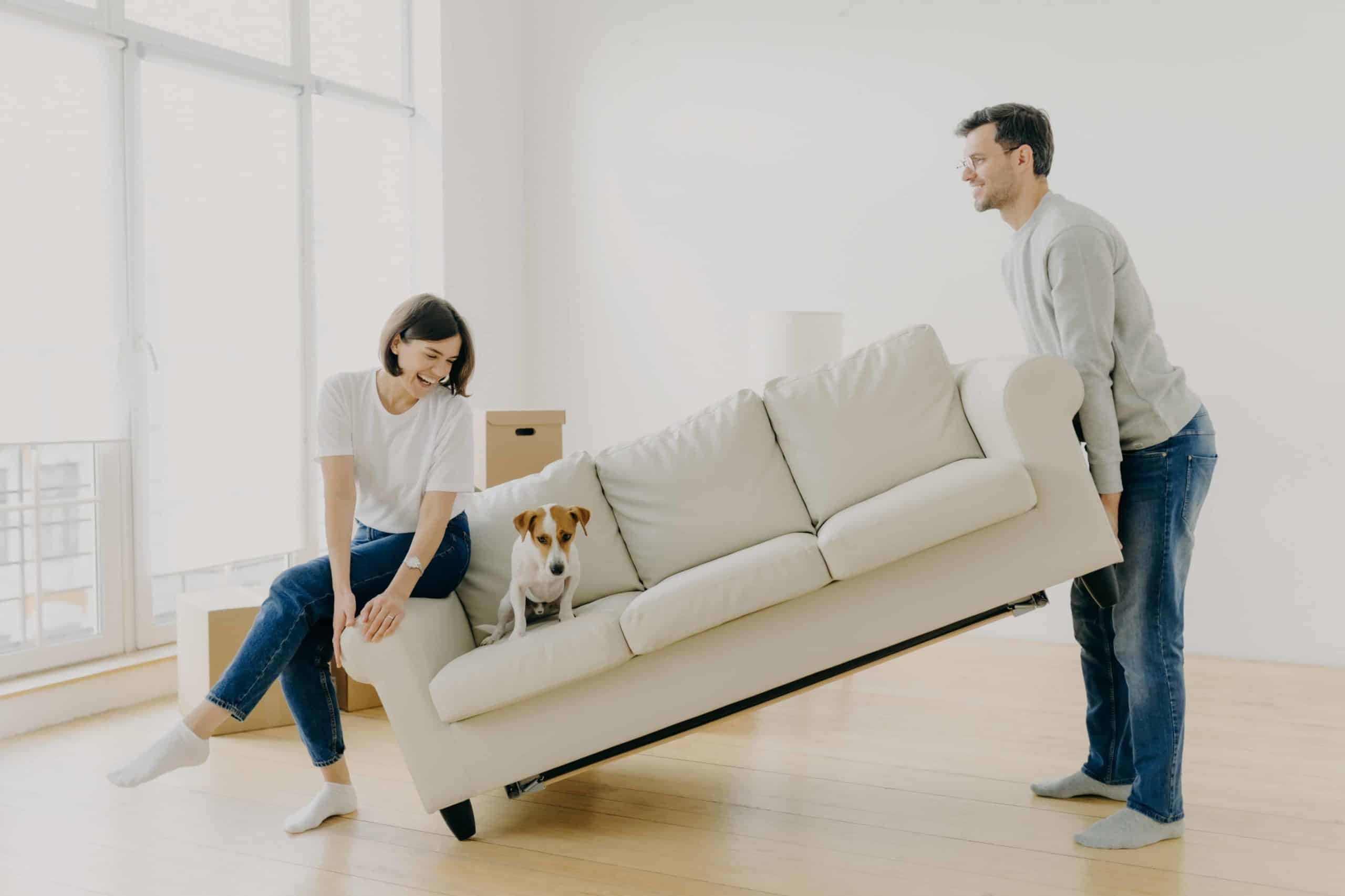 Man lifting a sofa while a woman and a small dog sit nearby, highlighting the need for professional moving assistance.