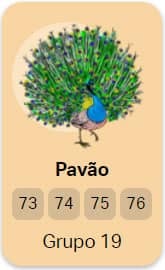 pavão no jogo do bicho