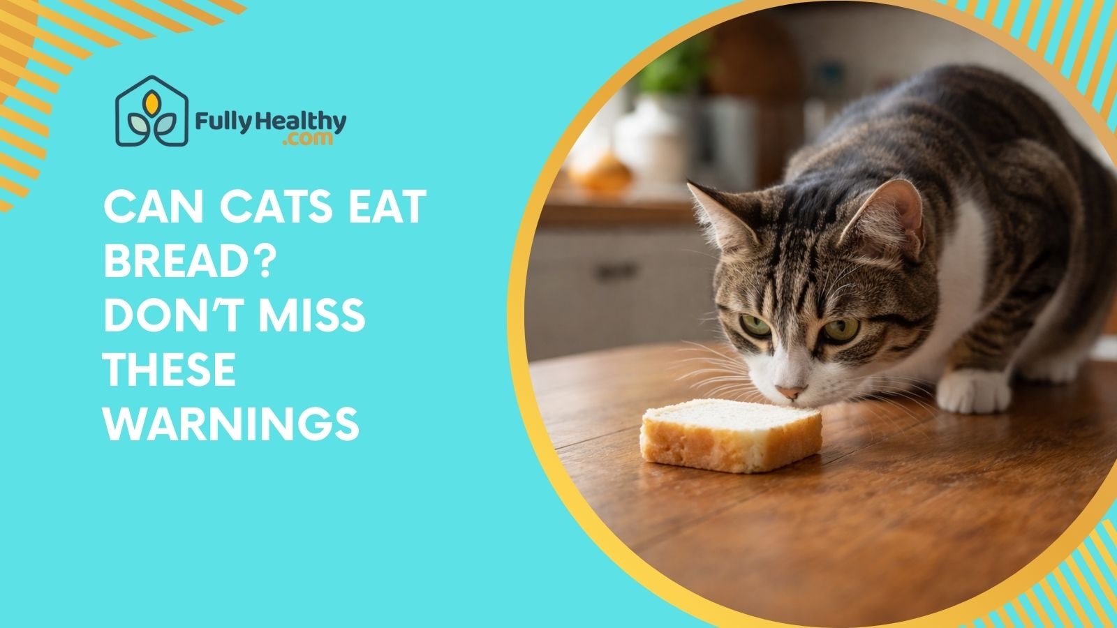 Can Cats Eat Bread? Don’t Miss These Warnings