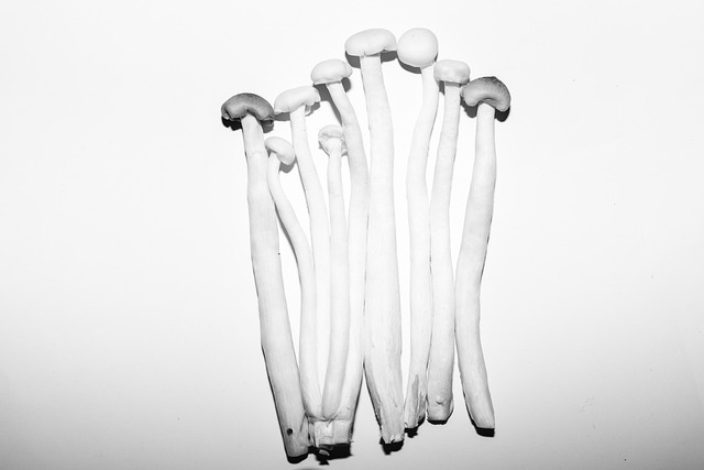 mushroom, vegetables, white