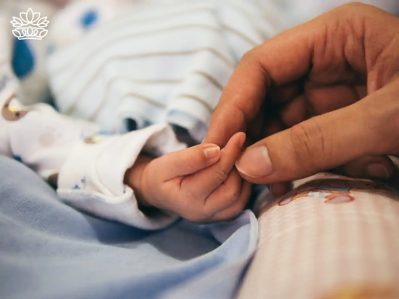 Hand holding a newborn baby's hand. Fabulous Flowers and Gifts Newborn Baby collection.