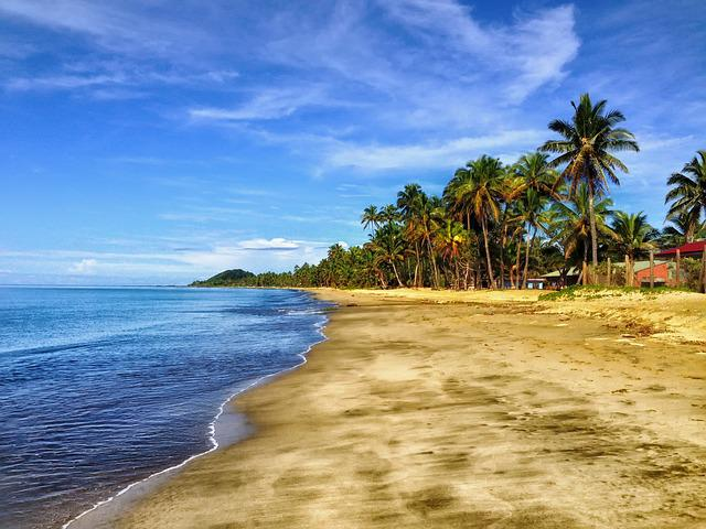 beach, sand, palm trees