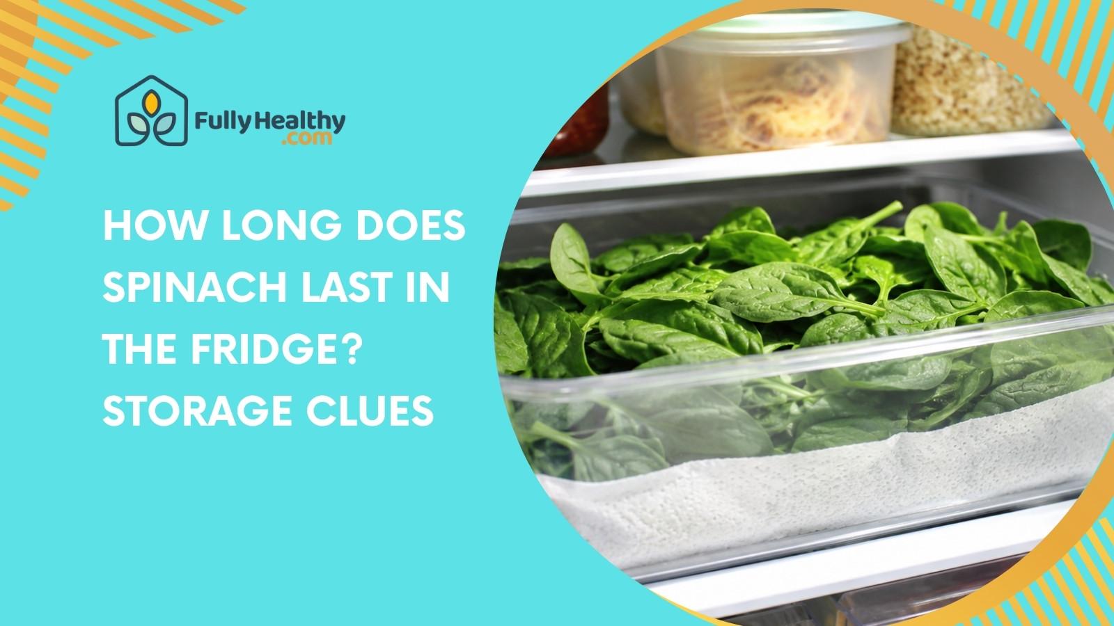 How Long Does Spinach Last In The Fridge? Storage Clues