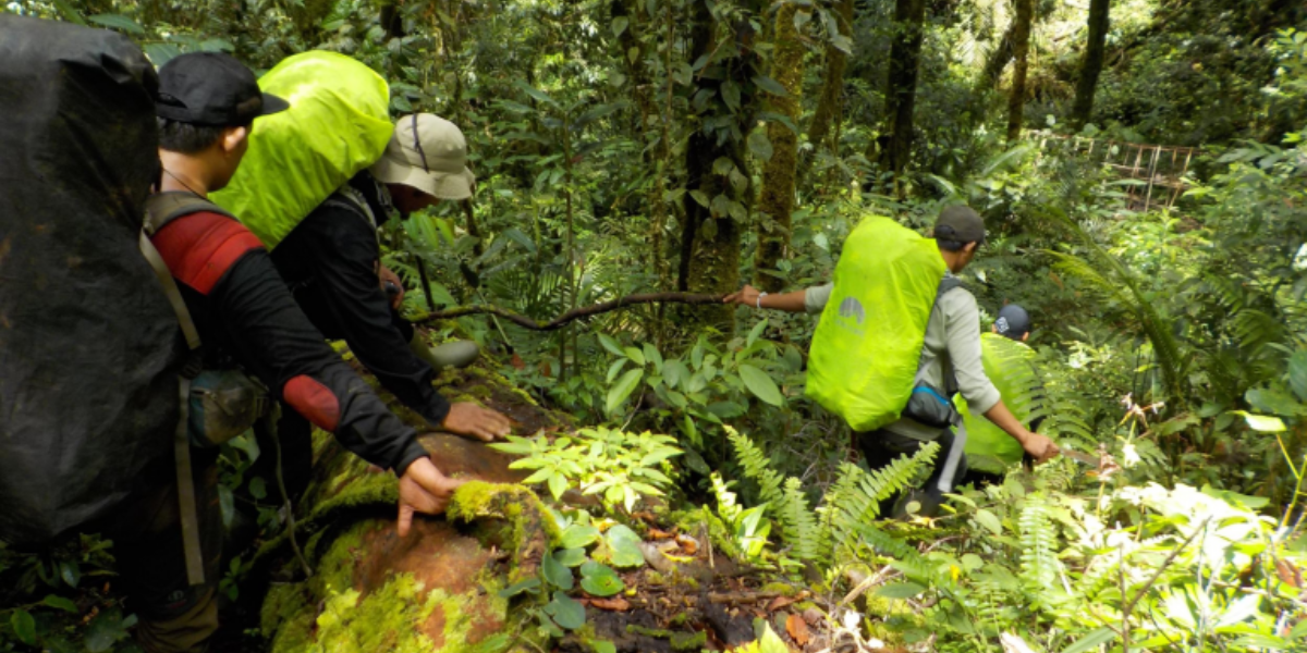 kerinci Seblat National Park