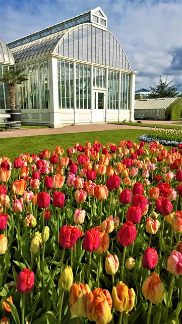 gothenburg, the garden society of gothenburg, nature