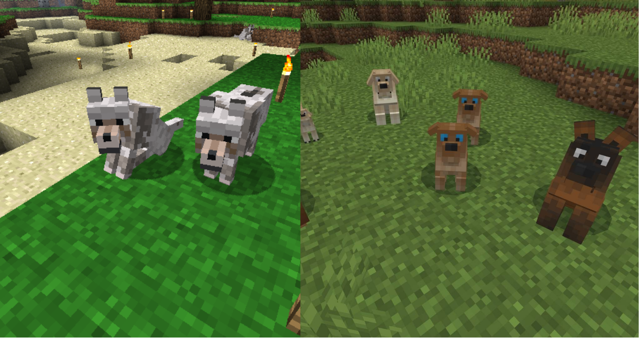 How Do You Tame a Dog in Minecraft