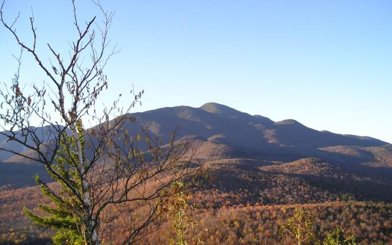 Mt. Jo Loop Trail (image via lakeplacid.com)