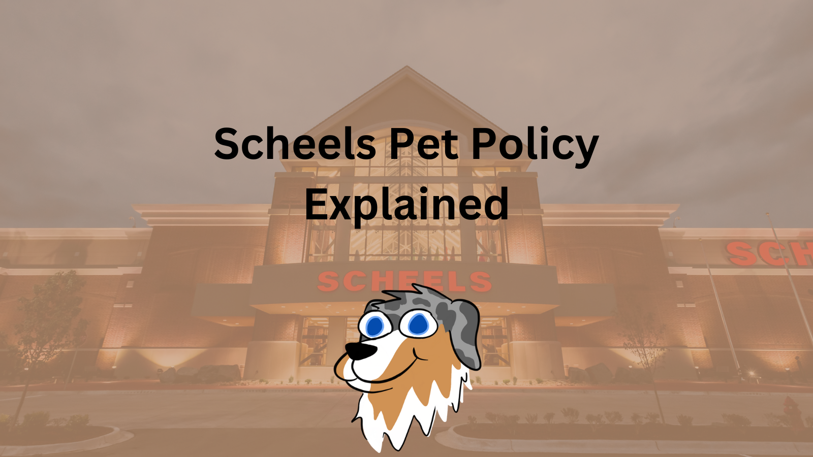 Image Text: "Scheels Pet Policy Explained"