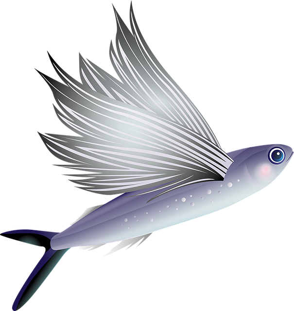 flying fish, fish, aquarium