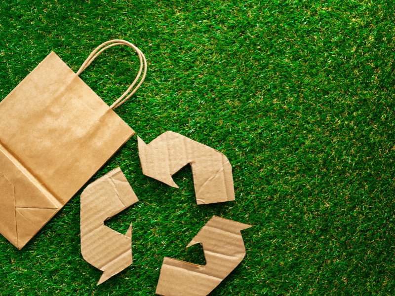 an illustration of a paper bags are Eco-Friendly Alternative