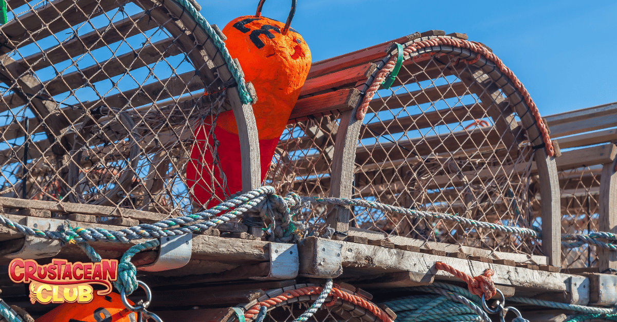 Gear for lobstering