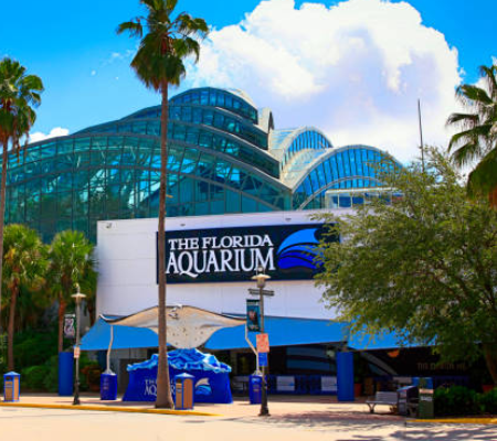 Florida Aquarium - My Essential List of Aquariums in Florida