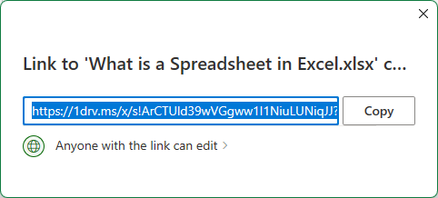Share Excel file with specific users