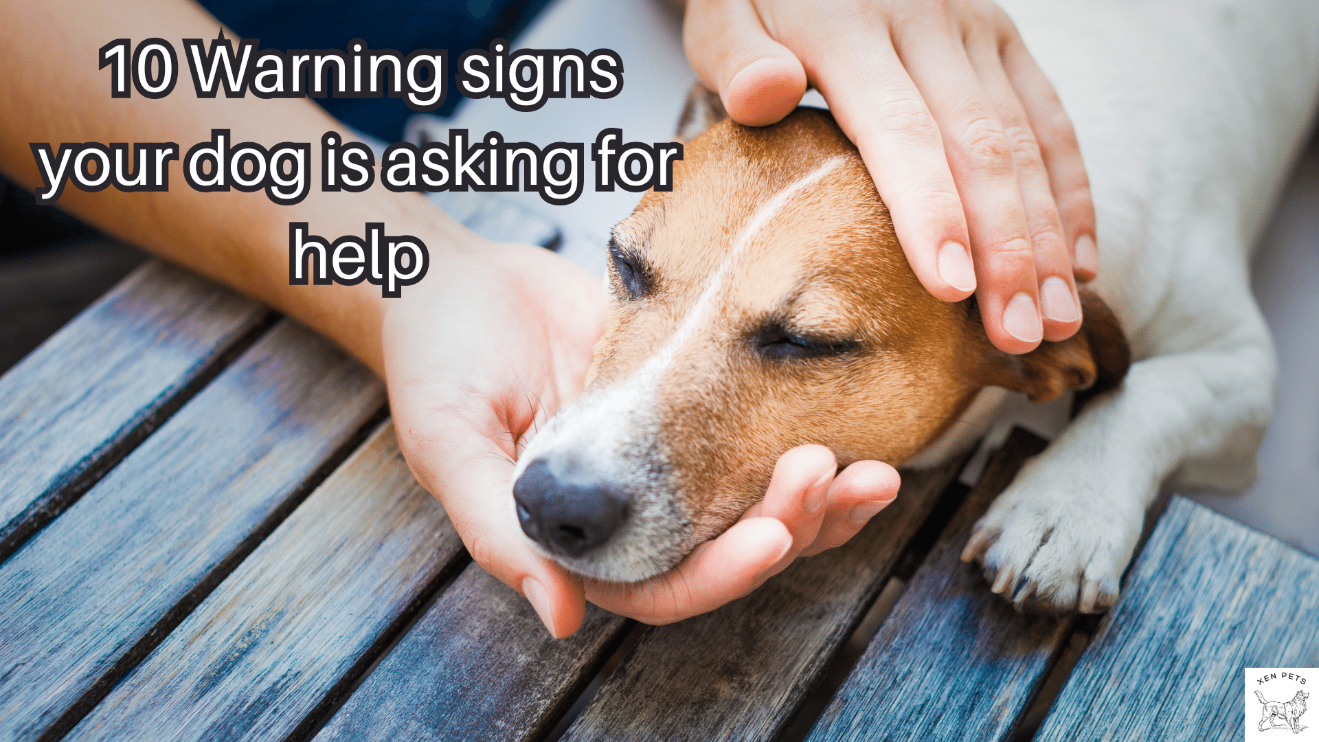 warning signs your dog is crying for help