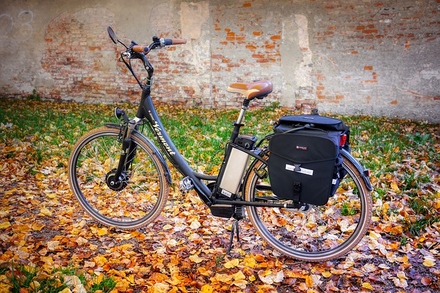 bicycle, e-bike, to go biking
