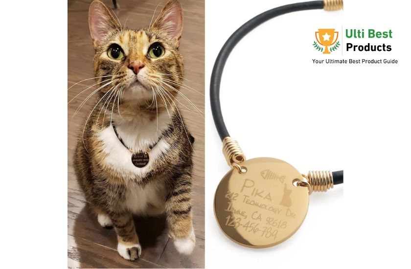 Petite Boutique Cat Collar Personalized Necklace