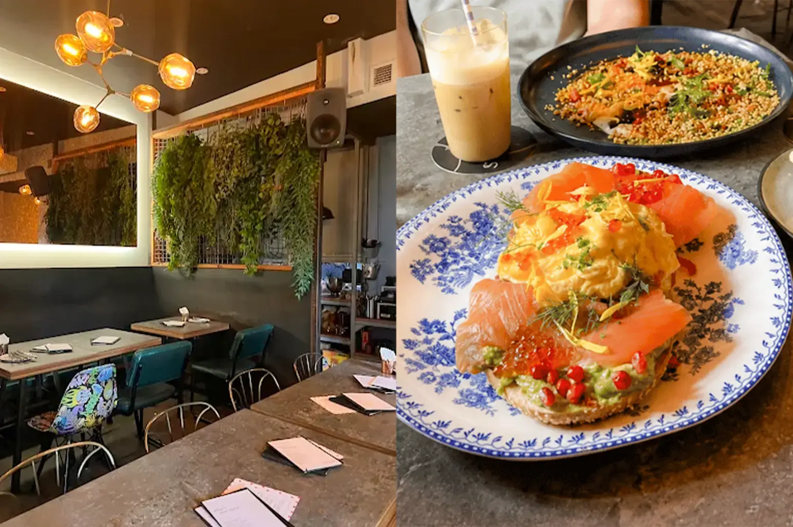 Symmetry cafe warm colored interior decorated with hanging plants and a serving of their menu items in a floral white and black plates.