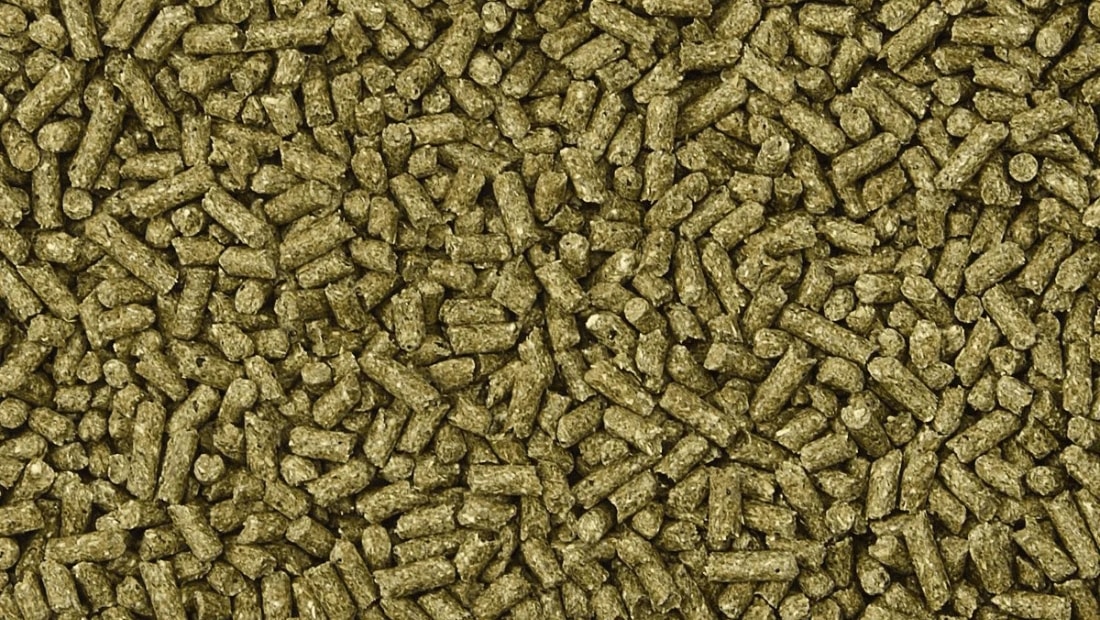 kaytee supreme rabbit food