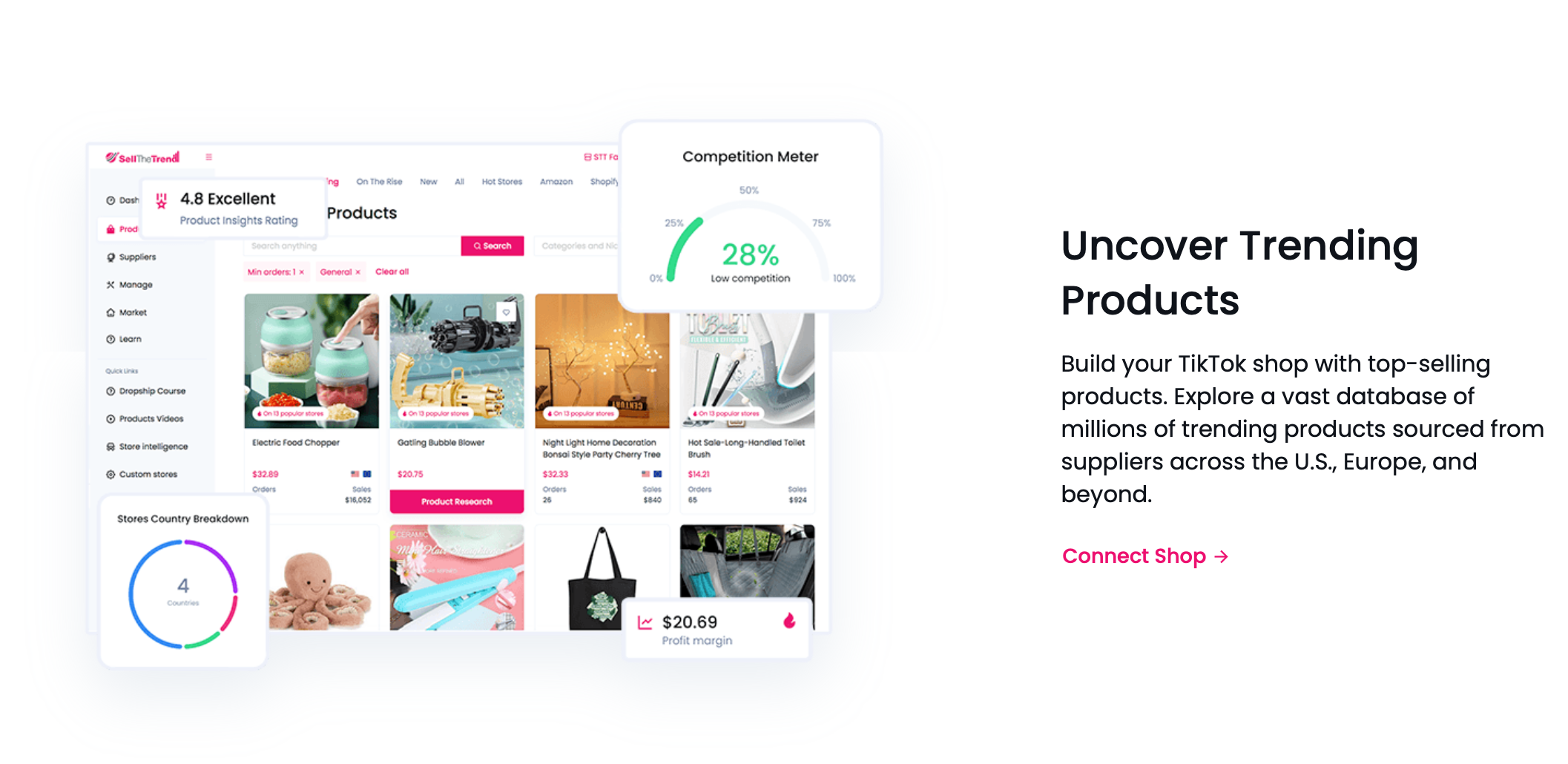 tiktok dropshipping - sell the trend 