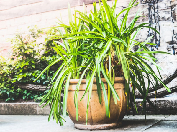 How to keep outdoor rug from blowing away