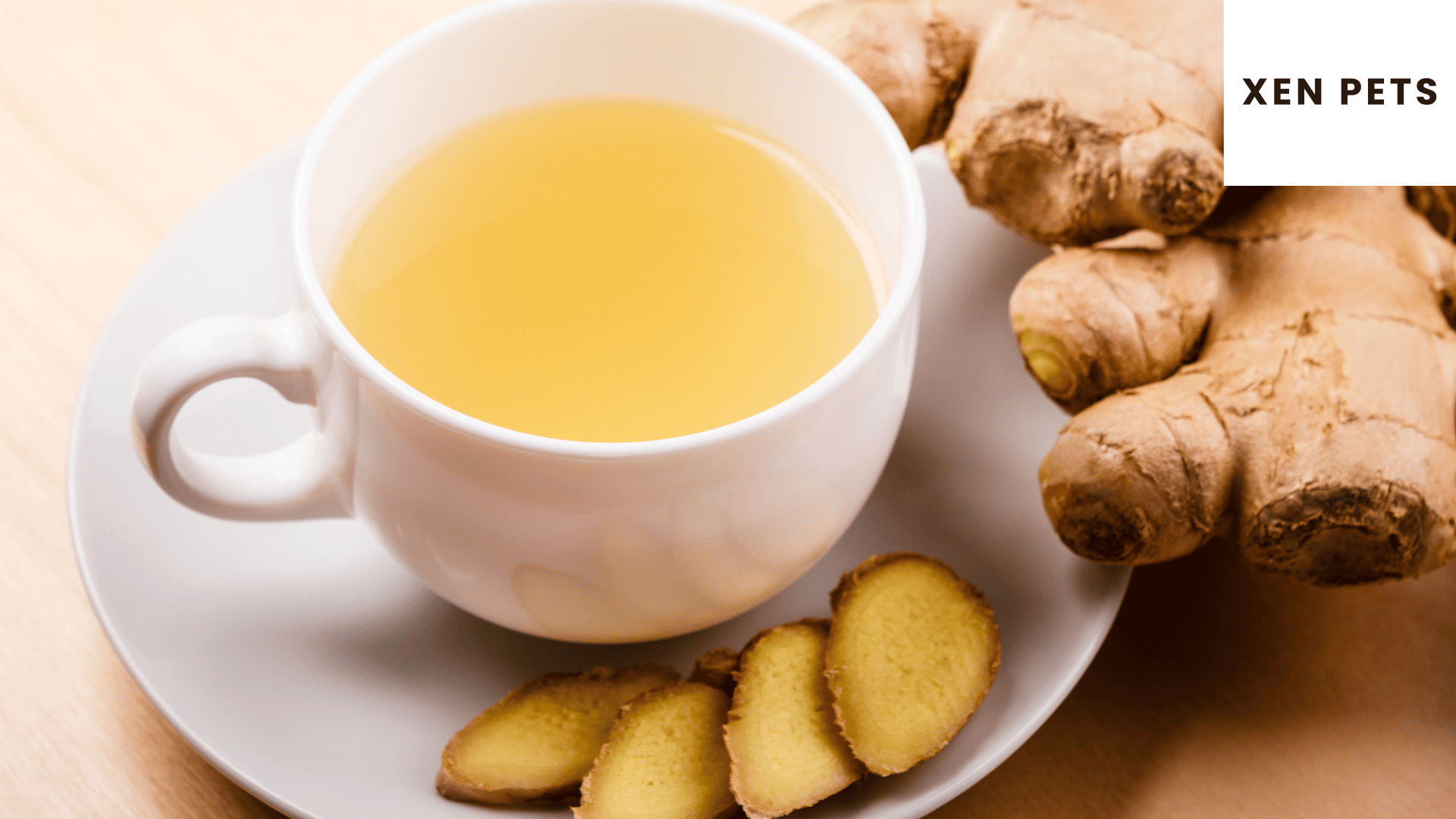 can-ginger-cause-diarrhea-in-dogs