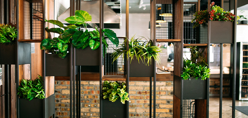 A wood and metal room divider that holds pot plants as well as conventional shelves. It is being used to separate a commercial kitchen from the main room.