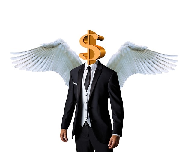 business angel, dollar, money, investor, investment, venture, capital, fund, businessman, success, rich, invest, startup, banking, cash, wealth, angel, wing, value, finance, financial, entrepreneur, business, investor, investor, investor, investor, investor