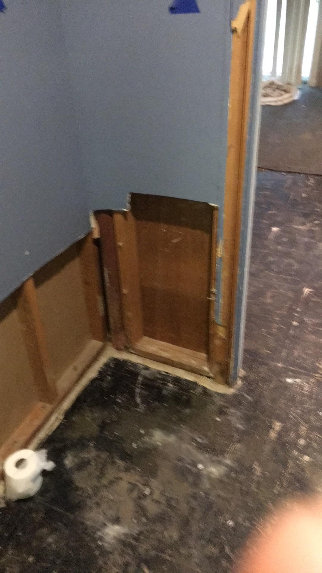 Will insurance cover mold removal Baltimore 