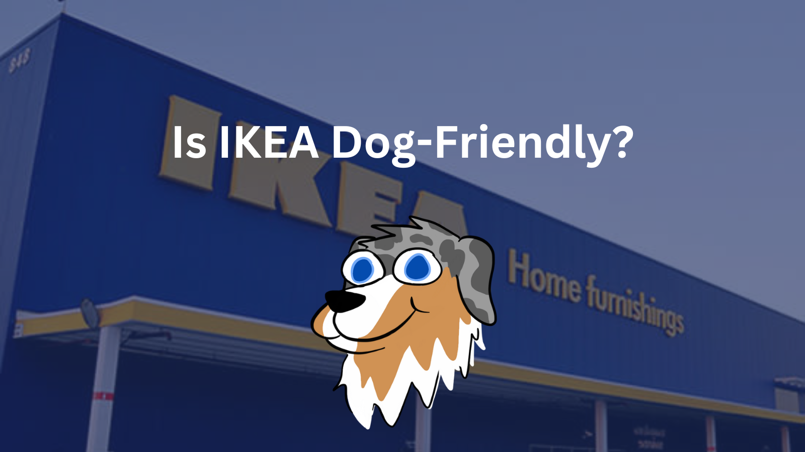 se permiten perros en ikea australia