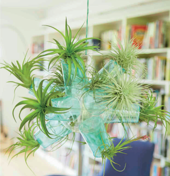 plastic chandelier for plants