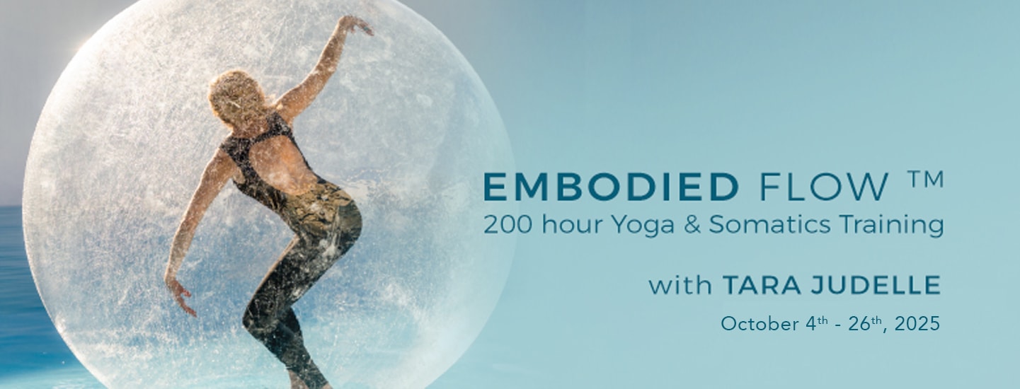 https://theyogabarn.com/wp-content/uploads/2024/06/Embodied-Flow-2025_WEB-LANDSCAPE.jpg