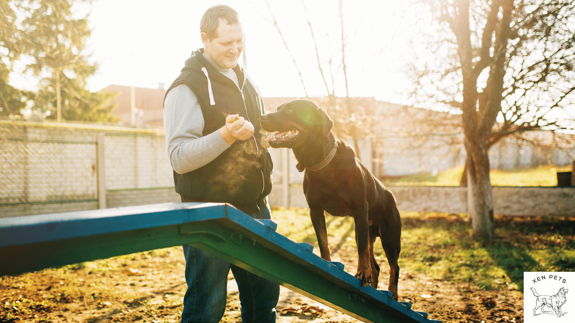 man training a dog