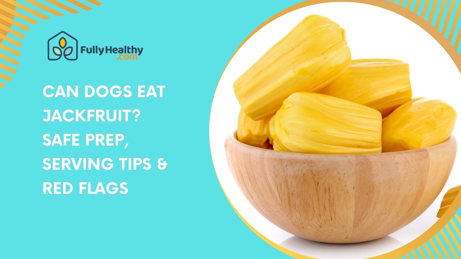 Can Dogs Eat Jackfruit? Safe Prep, Serving Tips & Red Flags