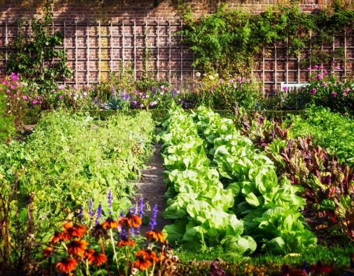 Healthy gardens need many nutrients that can be fulfilled through quality compost.