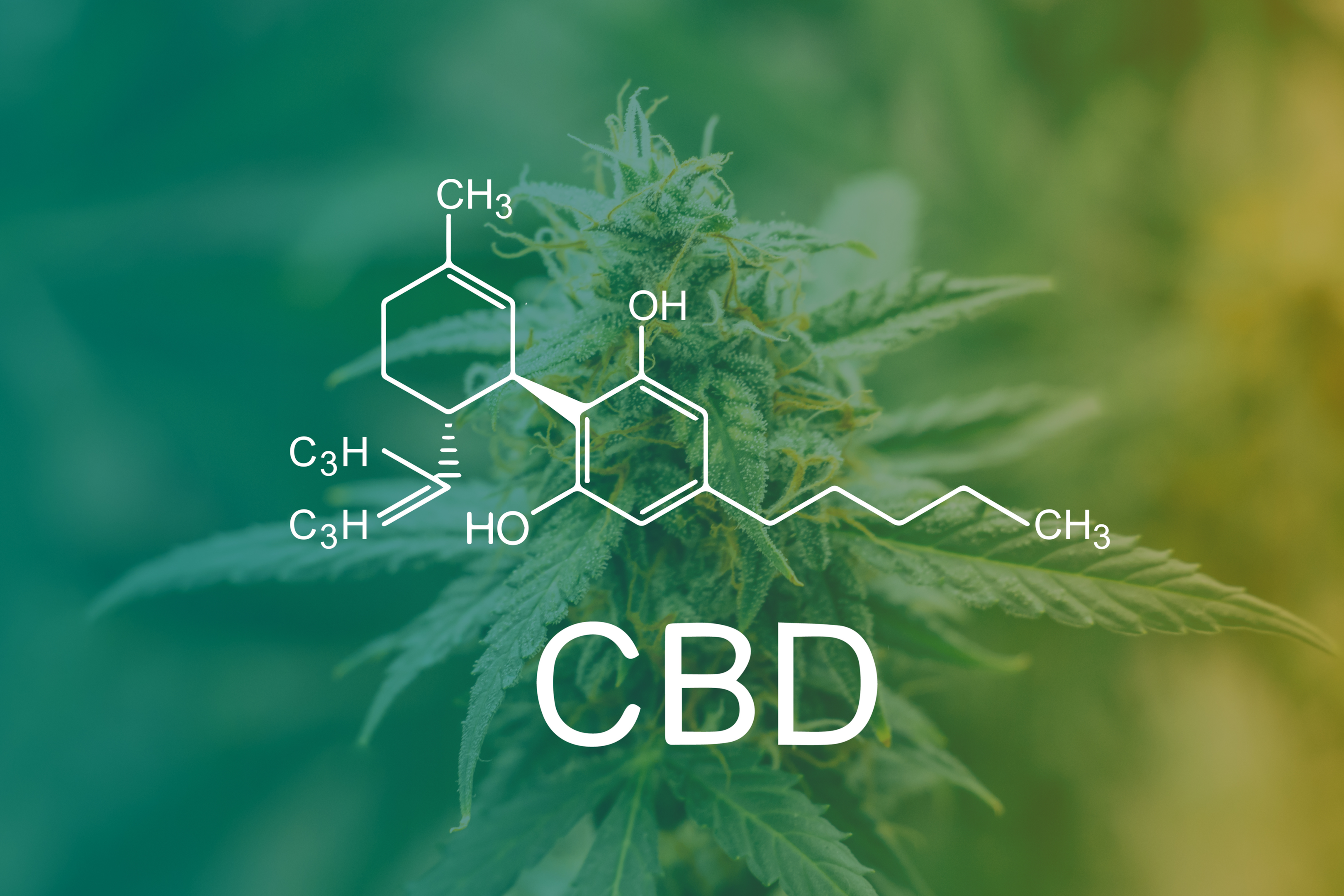 We have various types of CBD products like full spectrum and broad spectrum. Full spectrum does contain the legal amount of THC, which some report has been more beneficial. CBD is not psychoactive like Delta 8 or D9 THC.