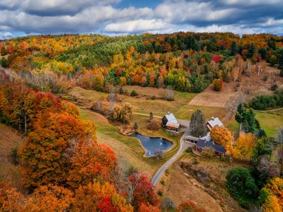 best strains to grow in vermont
