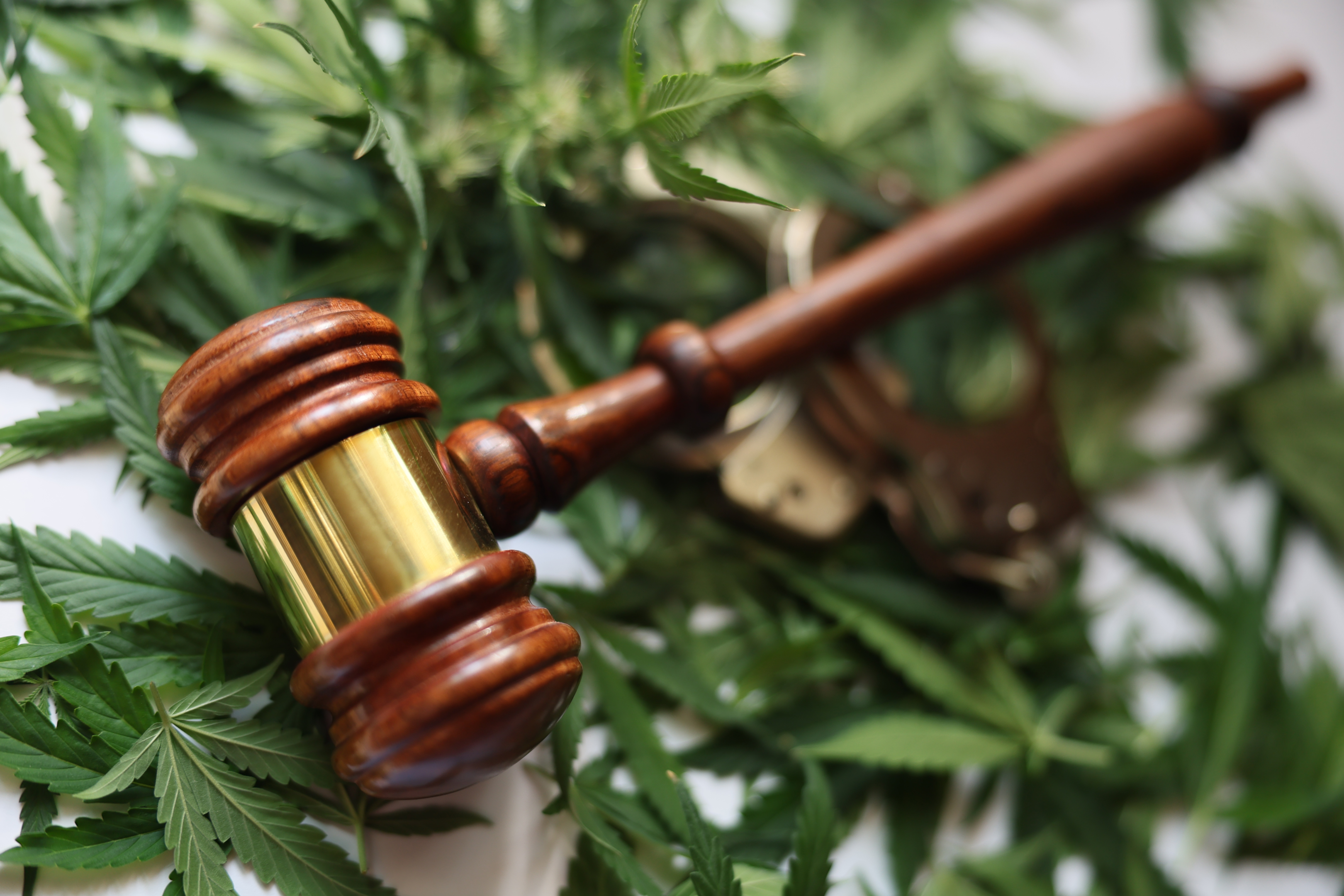 federally legal, legality, cannabis