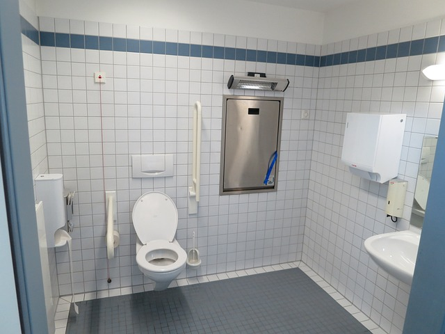 wc, barrier free toilet, disabled