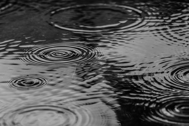 puddle, water, wet feet, wet areas