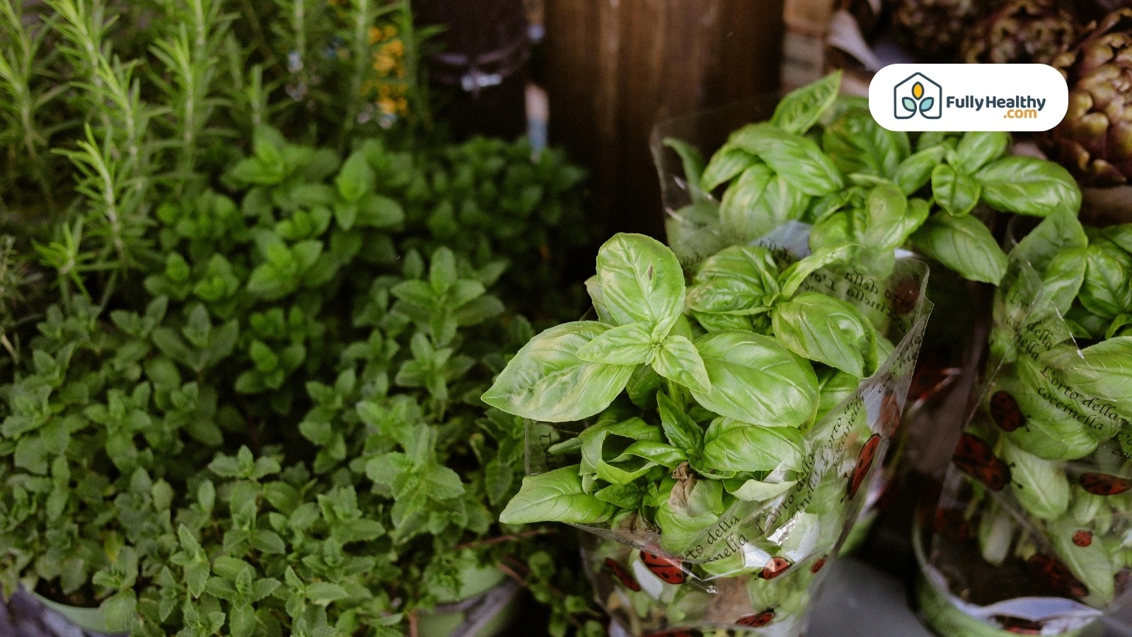 Packaged fresh basil herbs displayed at a local plant market stall