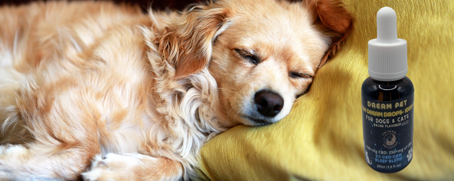 This furry friend is feeling calm and relaxed after trying our 1000mg CBN hemp oil tincture!