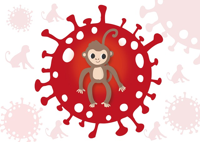 monkeypox, smallpox, monkeypox virus
