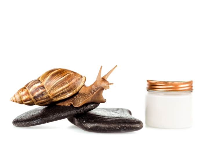 snail slime, oily skin, glycolic acid, fine lines and wrinkles.